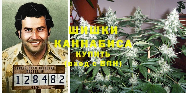 ГАЛЛЮЦИНОГЕННЫЕ ГРИБЫ Балахна