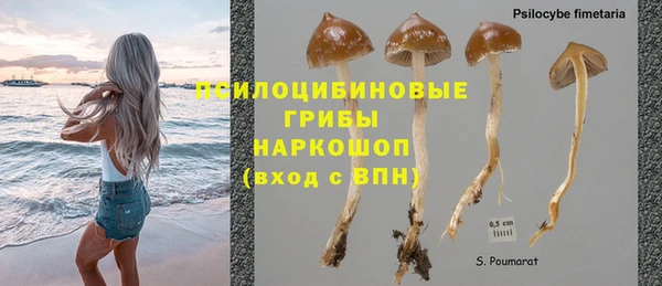 марки nbome Арсеньев