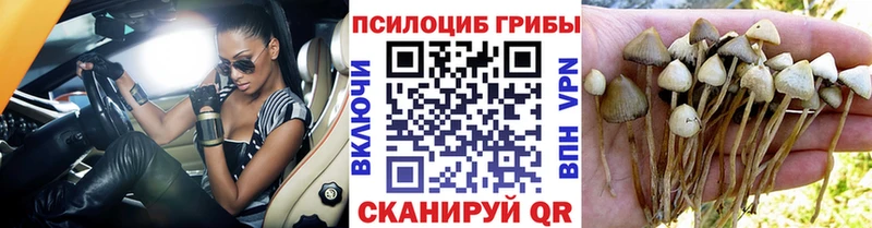 Псилоцибиновые грибы ЛСД  блэк спрут зеркало  Губаха 