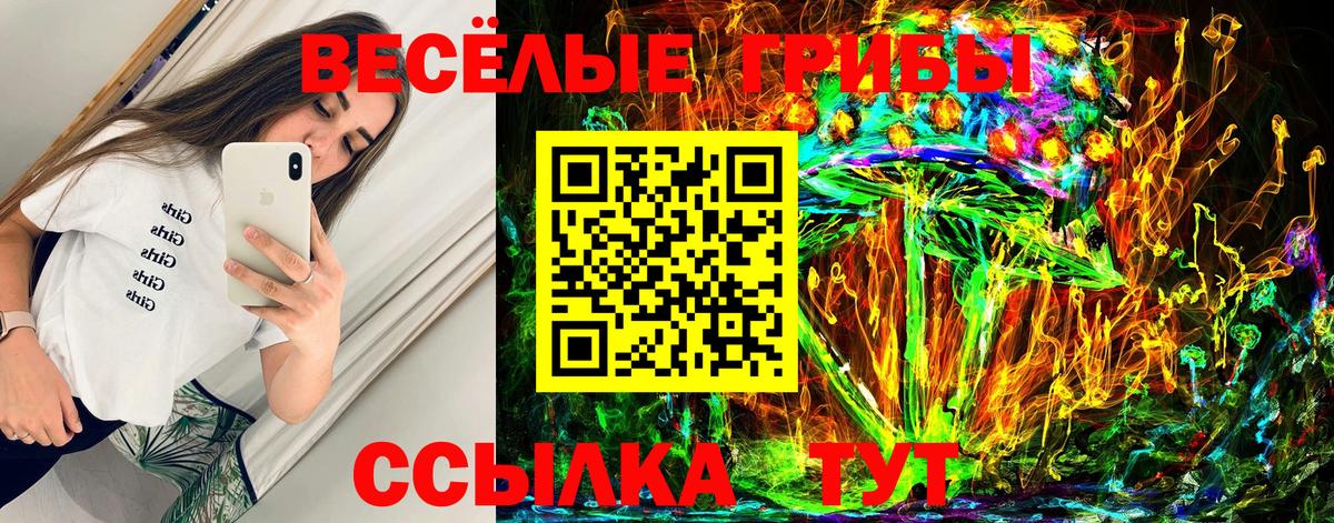 как найти   Галлюциногенные грибы Psilocybine cubensis  Вход с VPN  Галлюциногенные грибы мухоморы  Губаха 